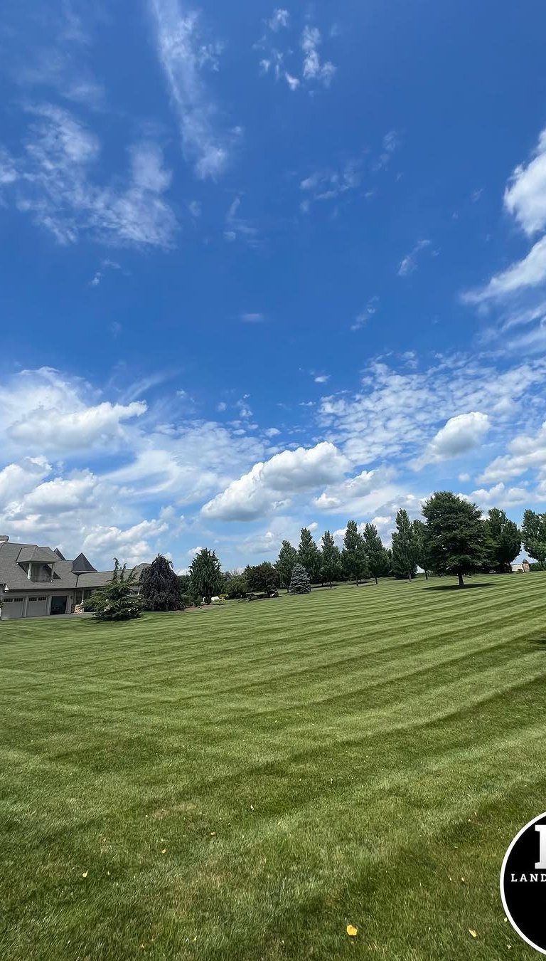 excellent landscaping and hardscaping of grass, stones and trees by NP Landscaping