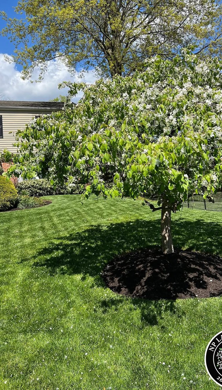 excellent landscaping and hardscaping of grass, stones and trees by NP Landscaping