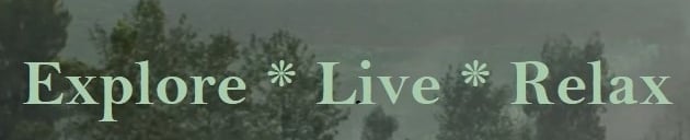 Explore, Live, Relax While Shopping Online Deals