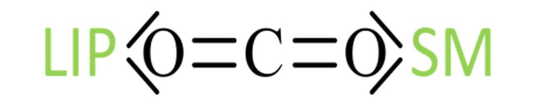 Chemical structure diagram showing carbon dioxide flanked by LIP and SM text labels.