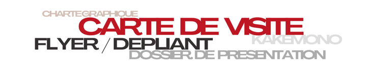 services de l'identité visuelle