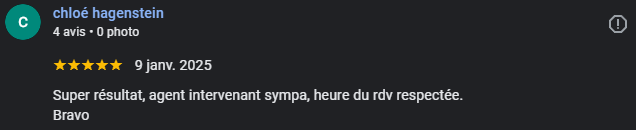 Avis 4 ElkyClean google