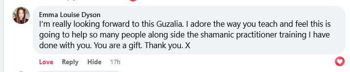 Screenshot of a positive Facebook comment testimonial about shamanic practitioner training and teaching.