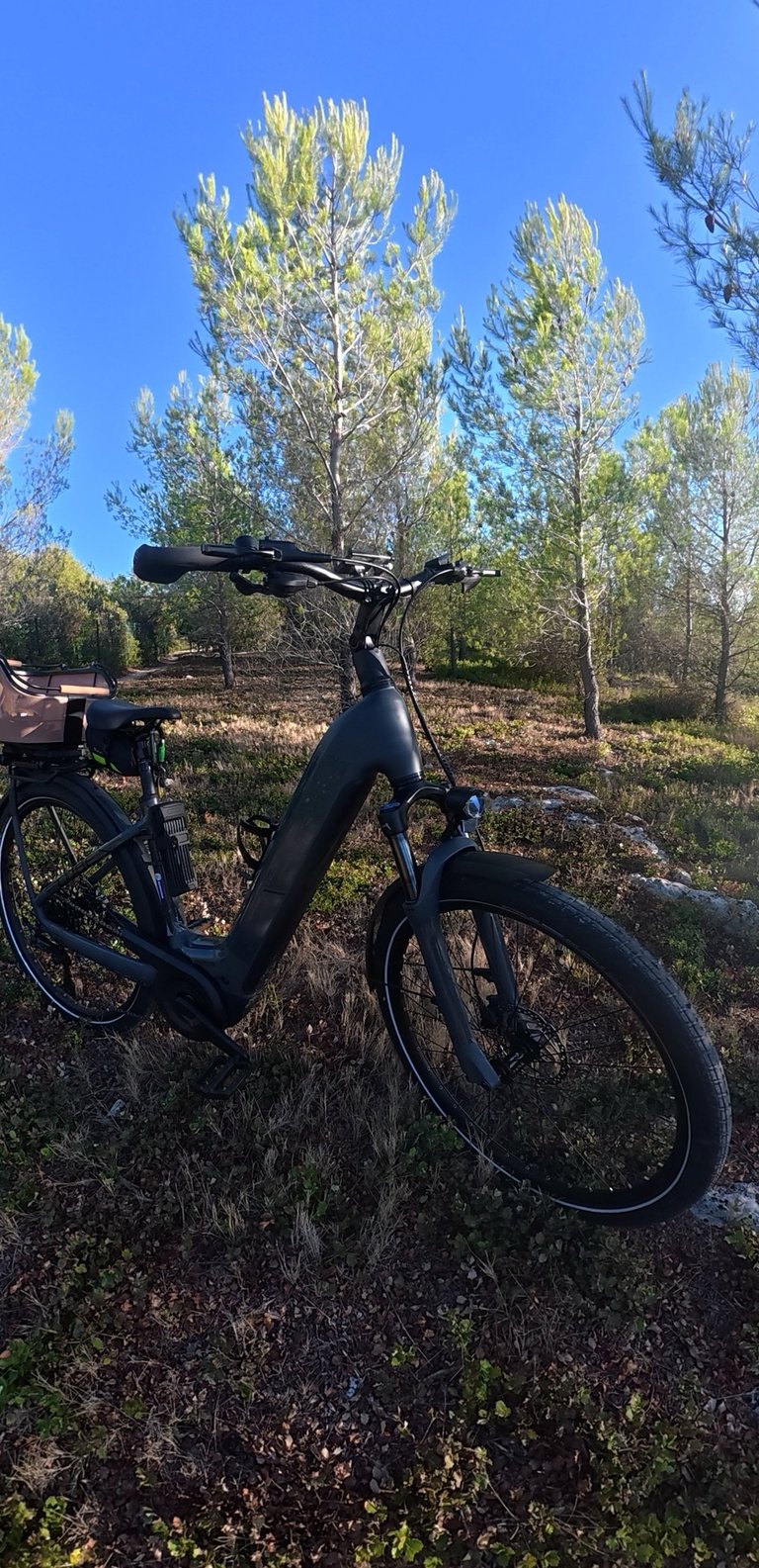 Location de vélo électrique à Aix-en-Provence – BikeForYou
