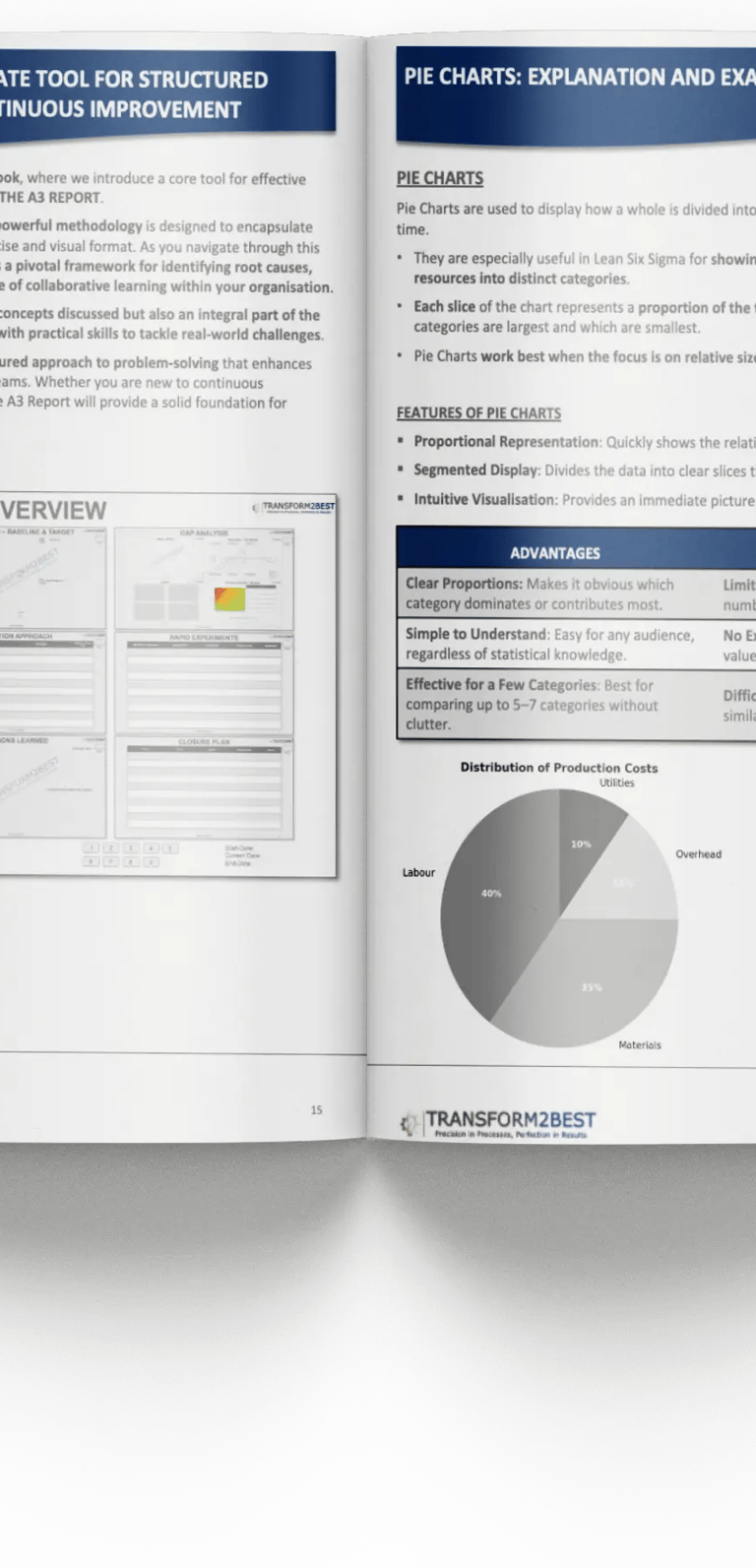 Business training manual pages explaining A3 reports and pie charts for Lean Six Sigma problem-solving.