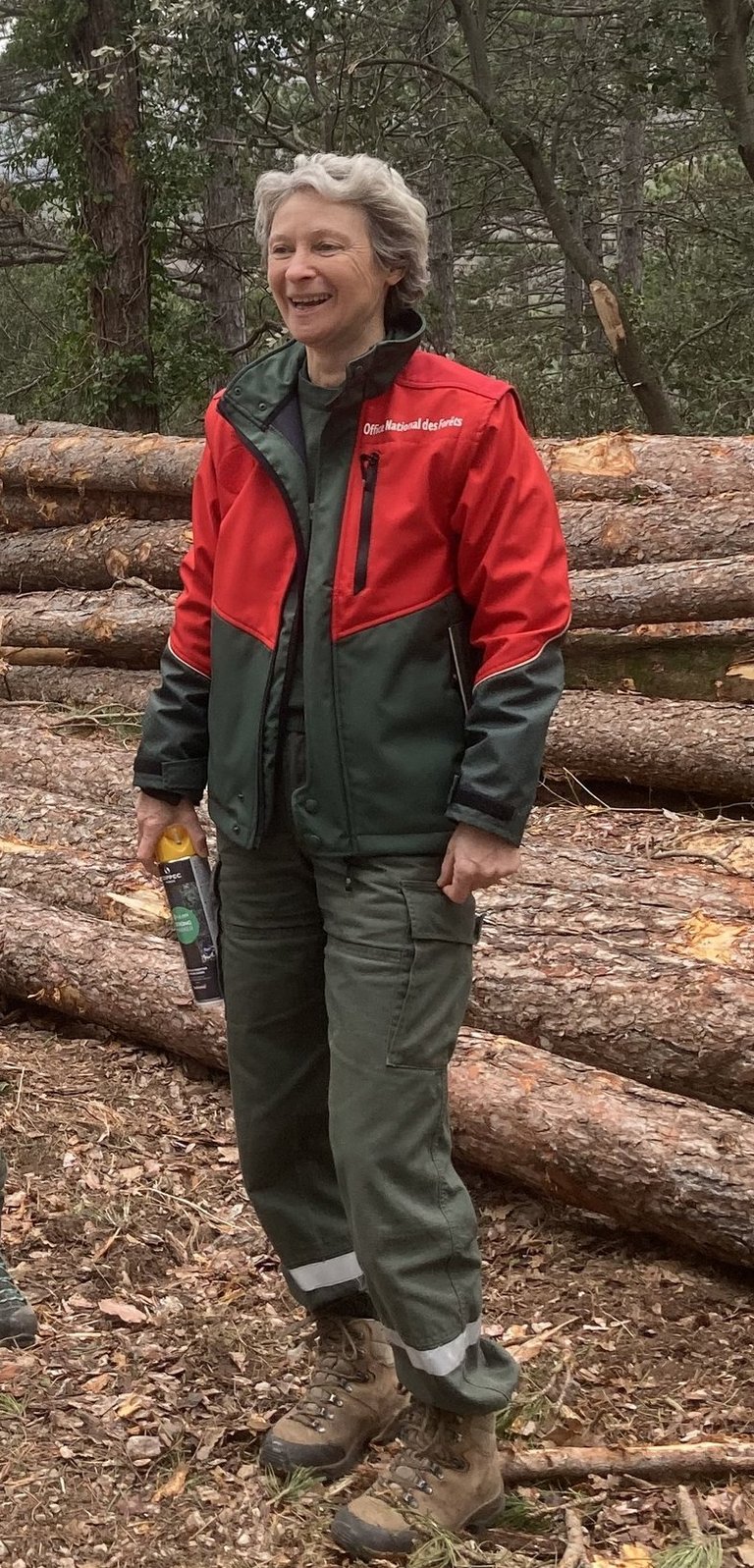 Chef de Forêt