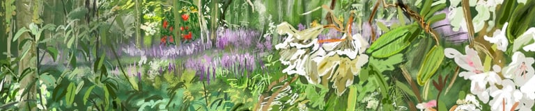 Digital drawing - Strood wood
