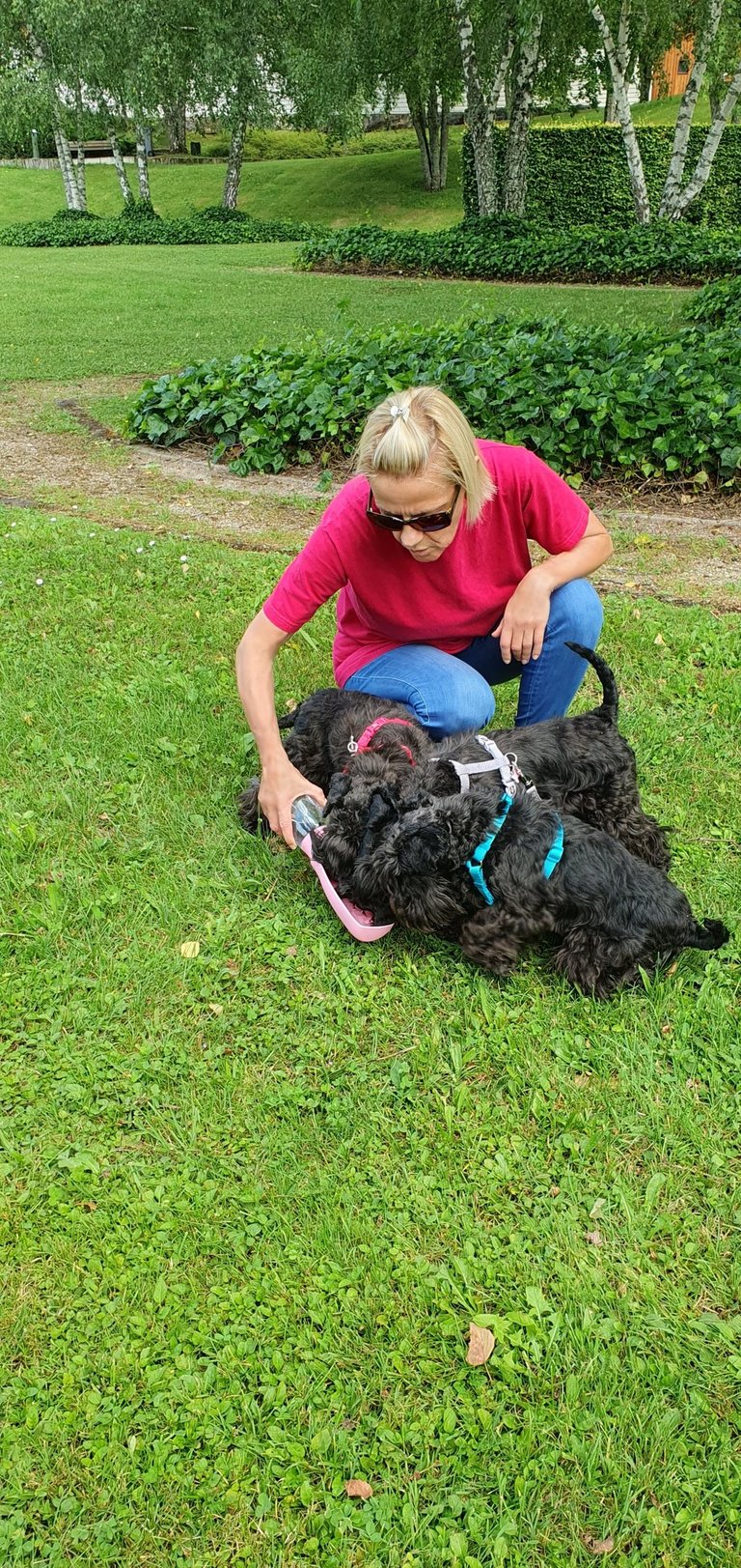 Les Diamants s'abreuvent !