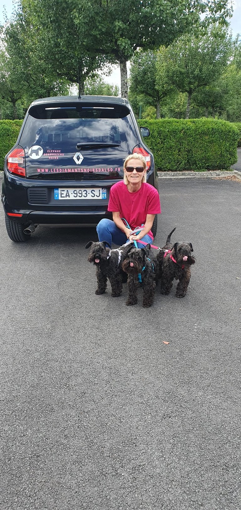 Voiture des Diamants Noirs d'Also