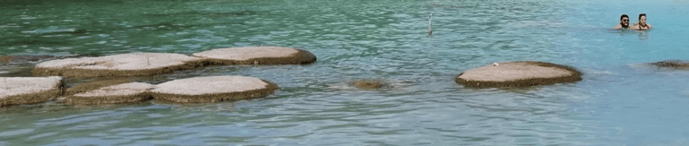 two people are swimming in a body of water