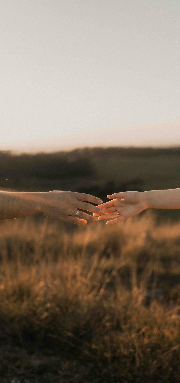 a couple holding hands in a field