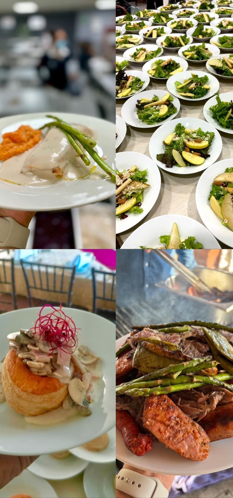 distintos tipos de platillos 