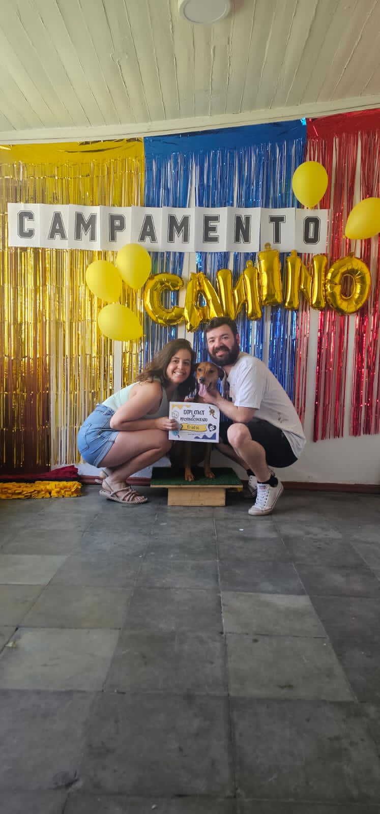 Campamento canino 