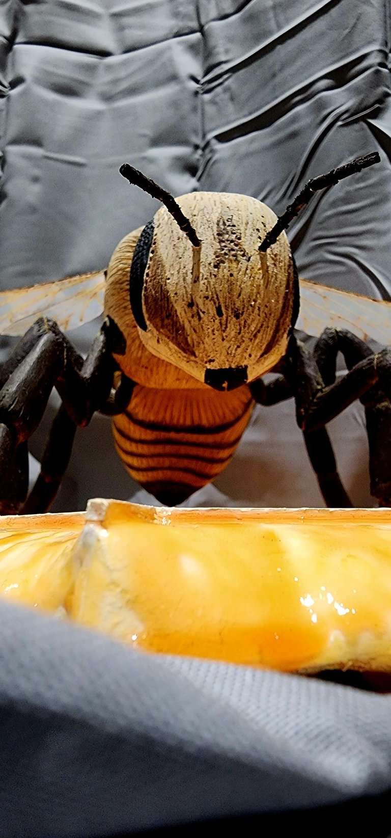 Honey Bee Carved by Harry Mashburn 