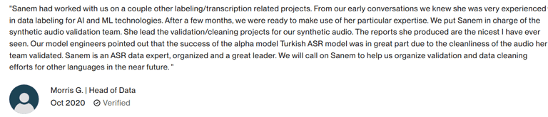 Upwork testimonial örneği