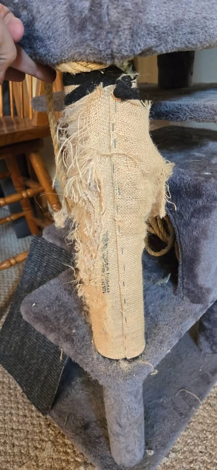 Worn cat tree scratching post with shredded sisal fabric and frayed rope showing heavy use.
