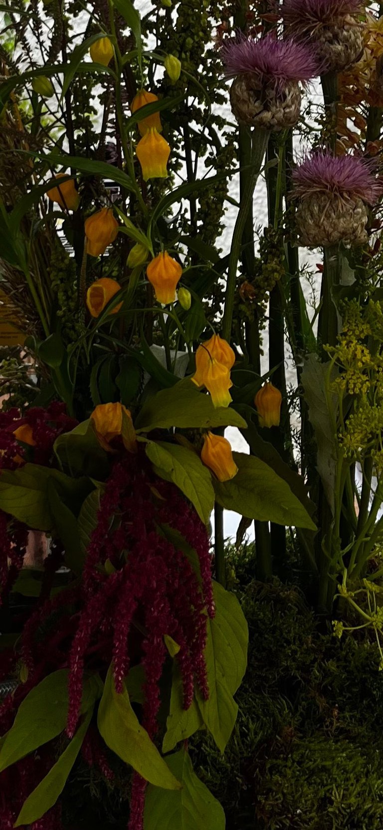 composition de fleurs de saisons 