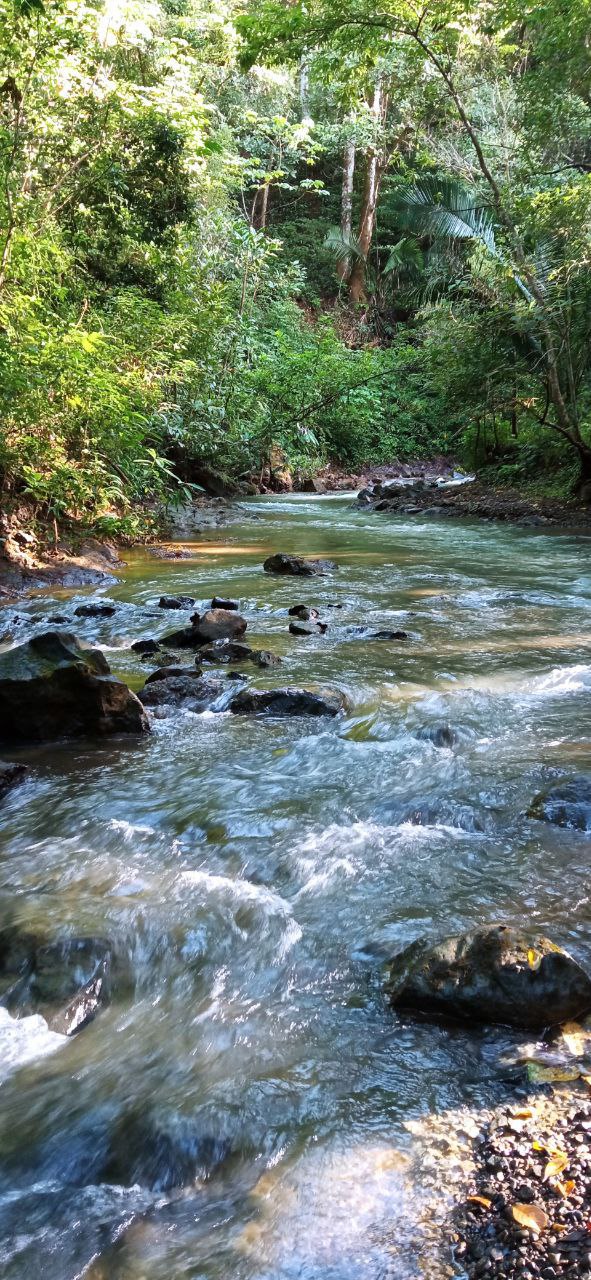 Main property creek 
