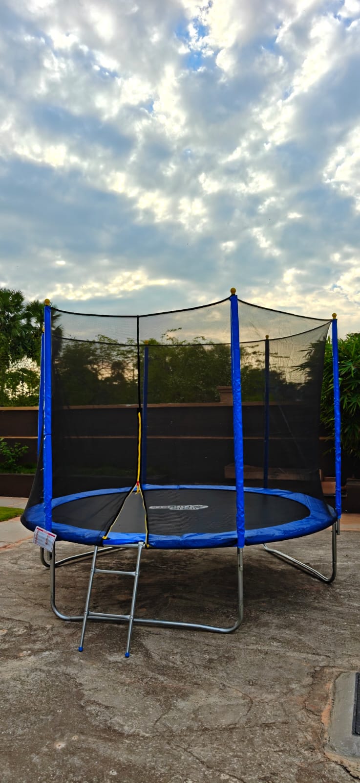 Outdoor backyard trampoline with safety net enclosure and ladder under a cloudy sky.