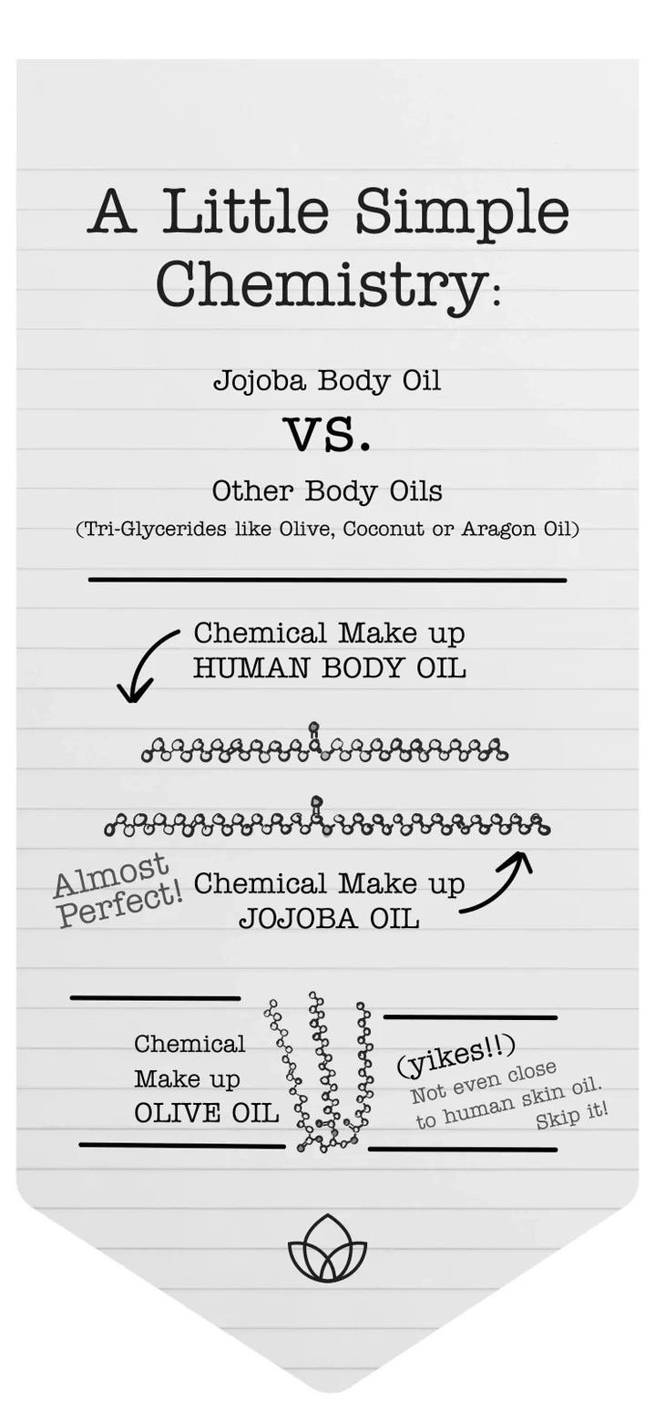 Comparison chart showing molecular similarity between human body oil, jojoba oil, and olive oil.