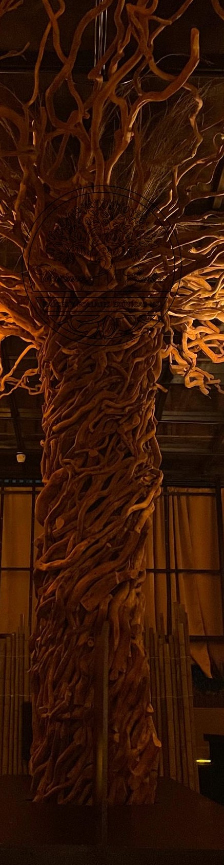 Gran arbol de raices para interiores en un antro