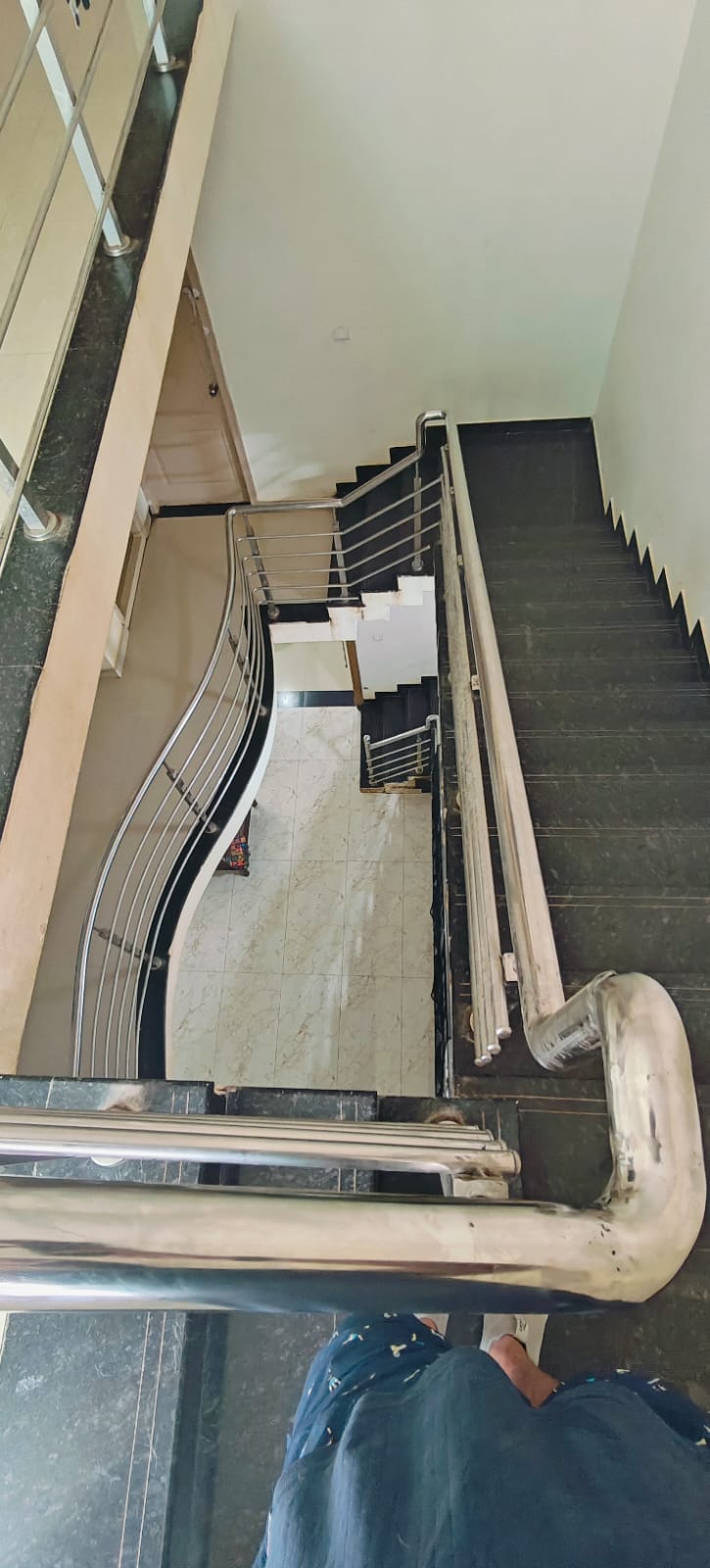 common area | Dog Homestay Boarding