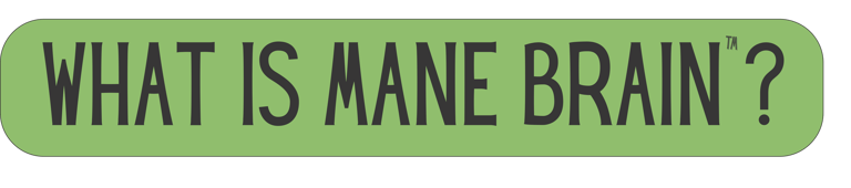 Mane Brain™ offers premium mushroom-based wellness products designed to support focus, memory,.