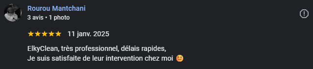 Avis 5 ElkyClean google