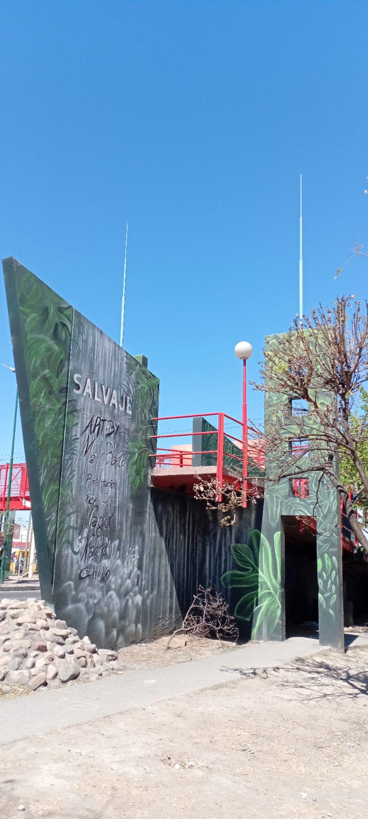 MURAL "SALVAJE" - MATÍAS BLASCO