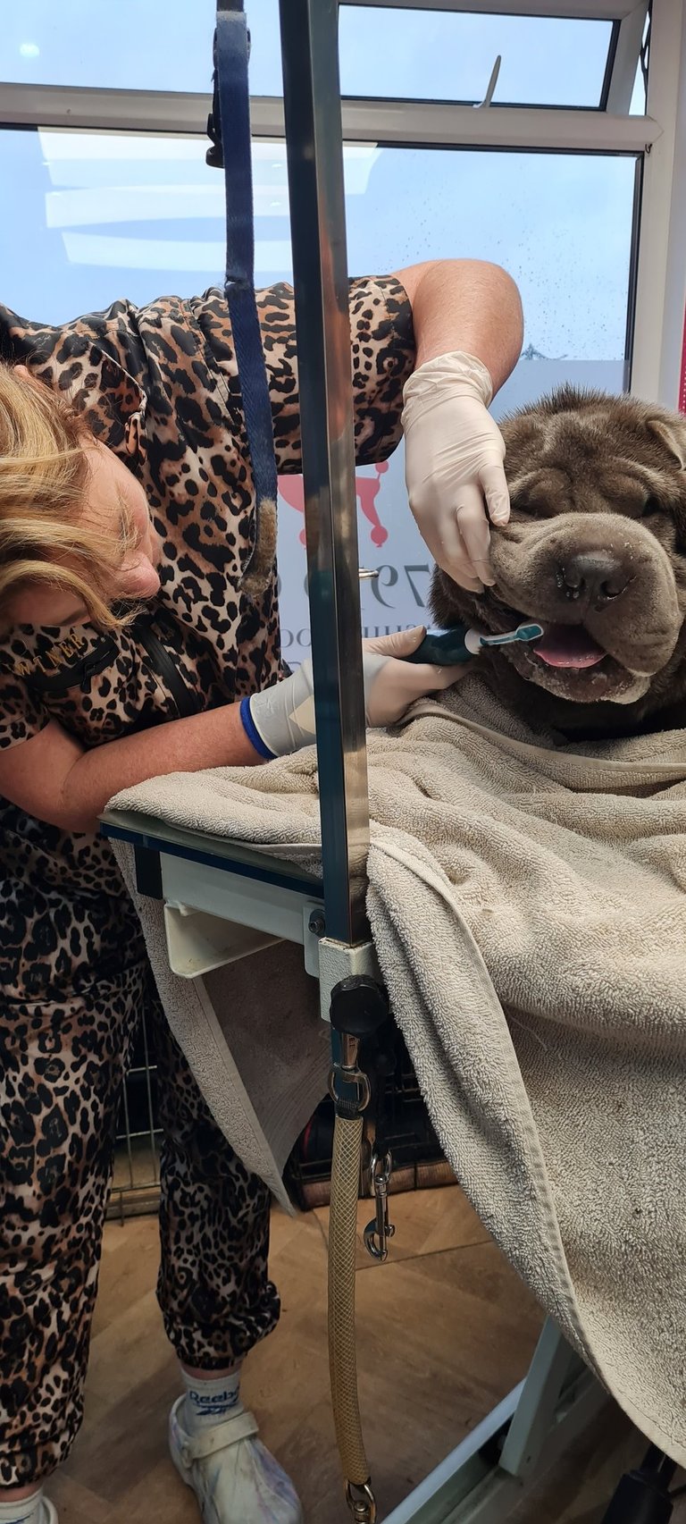 Positive teeth cleaning experience