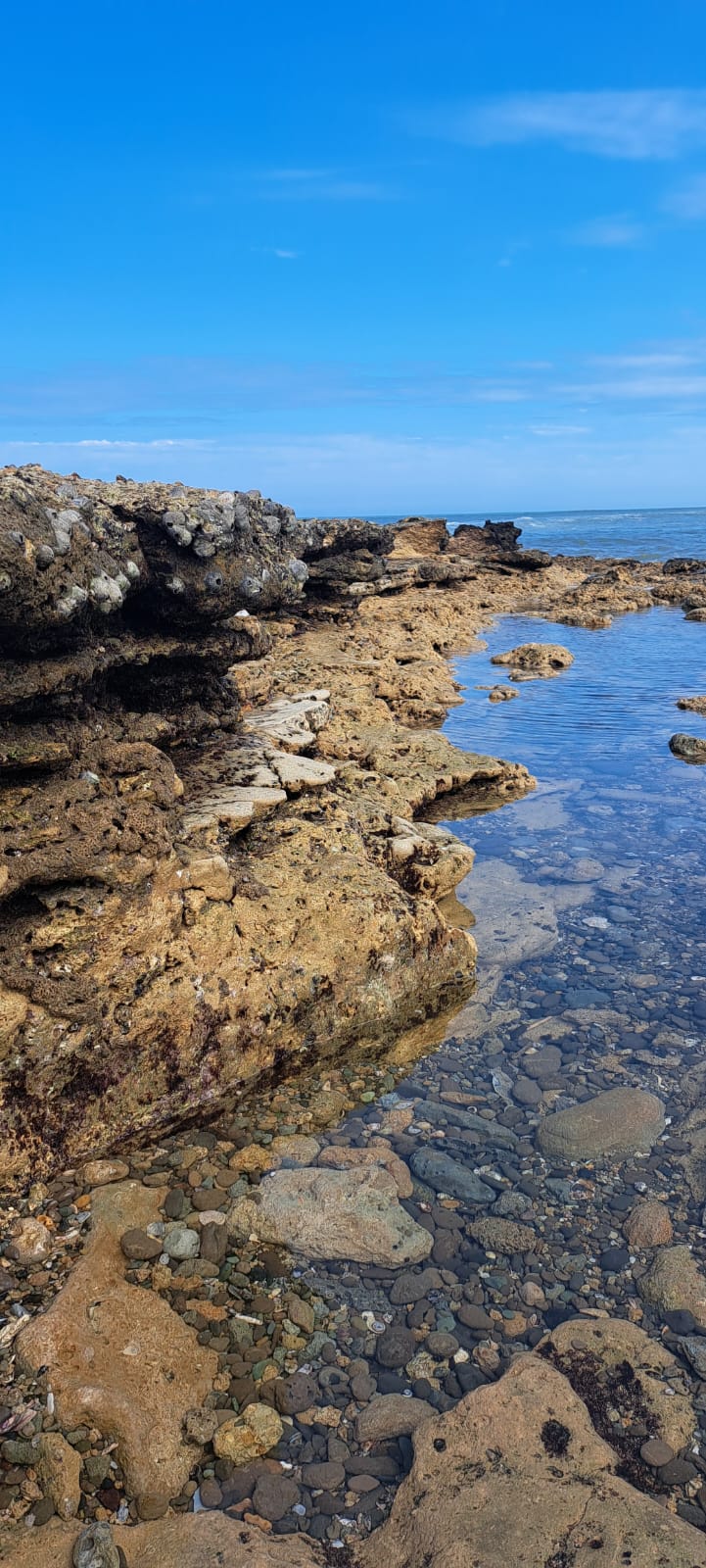 Rocky Reef