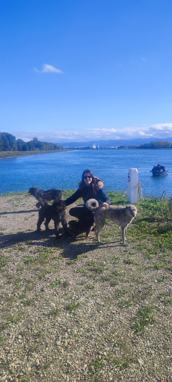 Promenade le long du Rhin