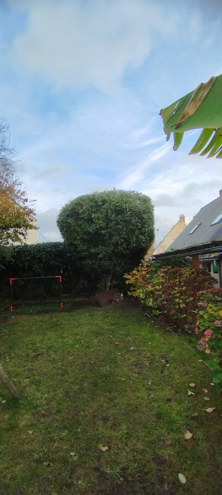 taille arbres arbustes haies nantes jardin paysagiste