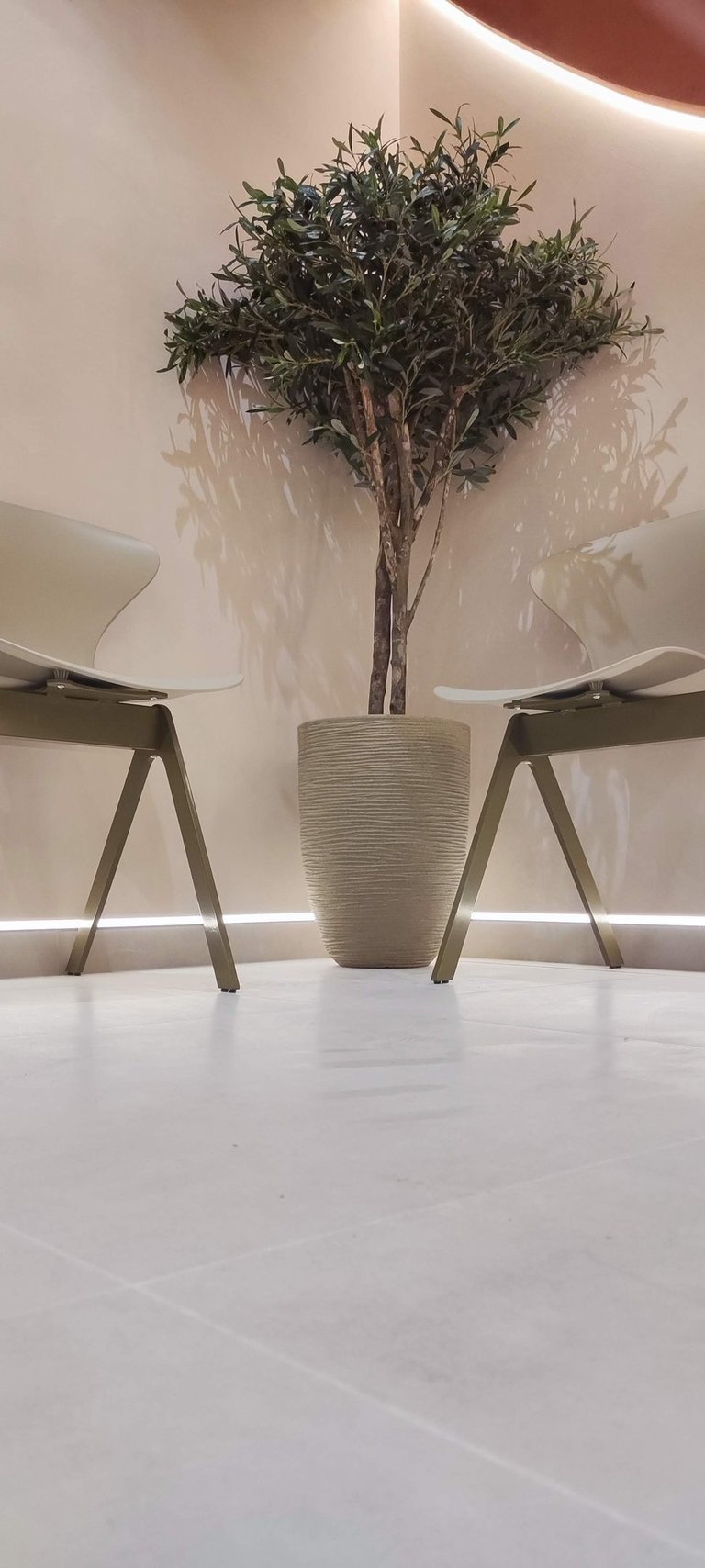 Cabinet WDB Riviera - Orthodontie à Cagnes sur Mer