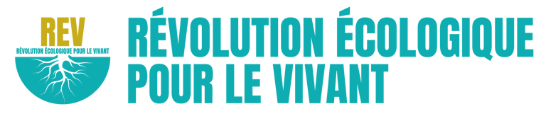 logo rev 2 lignes 2