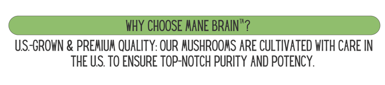 Mane Brain™ offers premium mushroom-based wellness products designed to support focus, memory,.