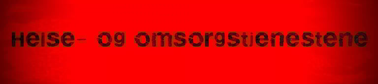 Statsforvalteren Helse, omsorg og sosialtjenester,Sofie Scott, Sara Cecilie Wilhelmsen Solheim,Hanne