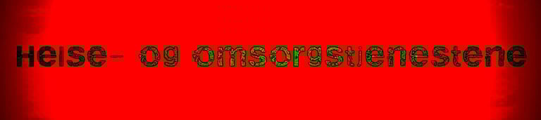 Statsforvalteren Helse, omsorg og sosialtjenester,Sofie Scott, Sara Cecilie Wilhelmsen Solheim,Hanne