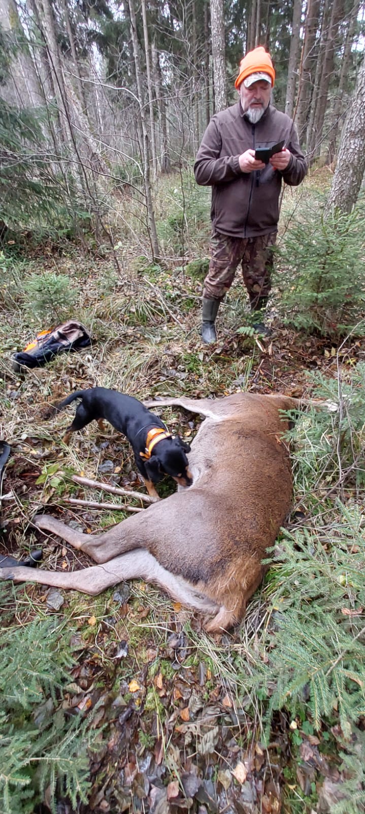 Jagdtrophäe in Lettland