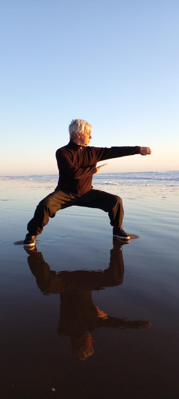 Sifu Anibal Tanus Choy Li Fut