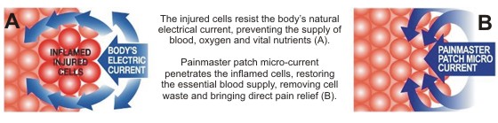 How Painmaster works at the cellular level.