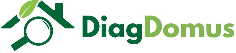logo de la compagnie DiagDomus