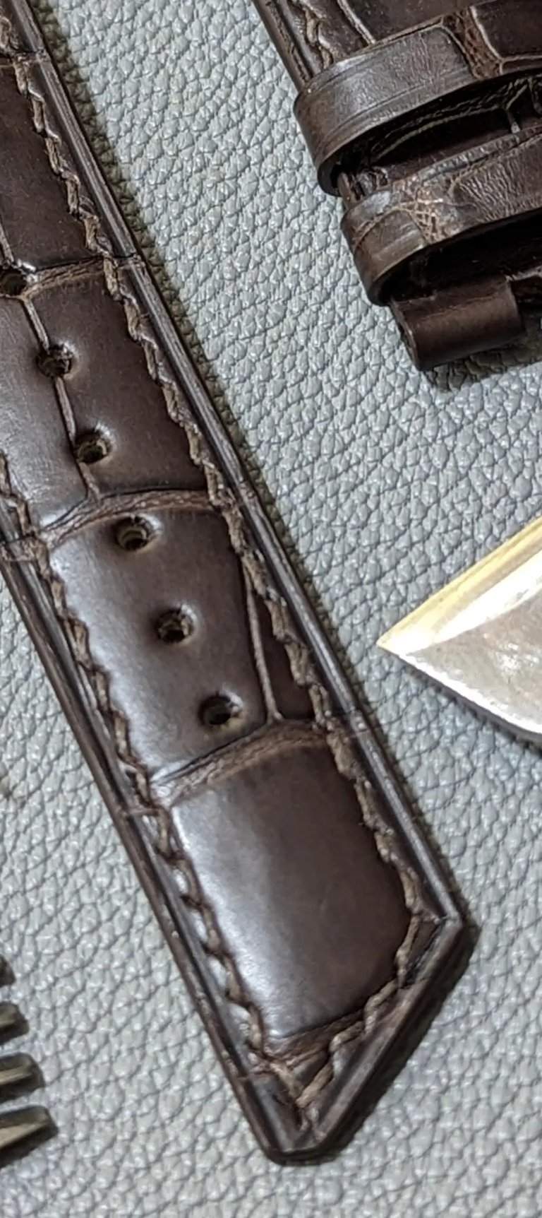 Bracelet de montre en cuir d'alligator