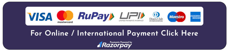 Payment Link Novus Immigration 