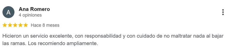 Recomendación del servicio de arboricultura fuentes, destacando la responsabilidad y cuidado