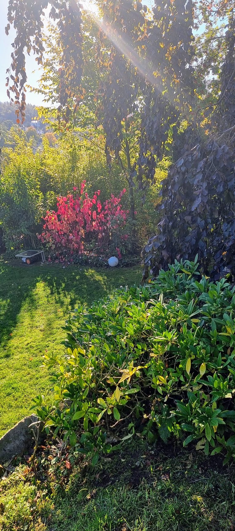 Blick auf die untere Gartenebene