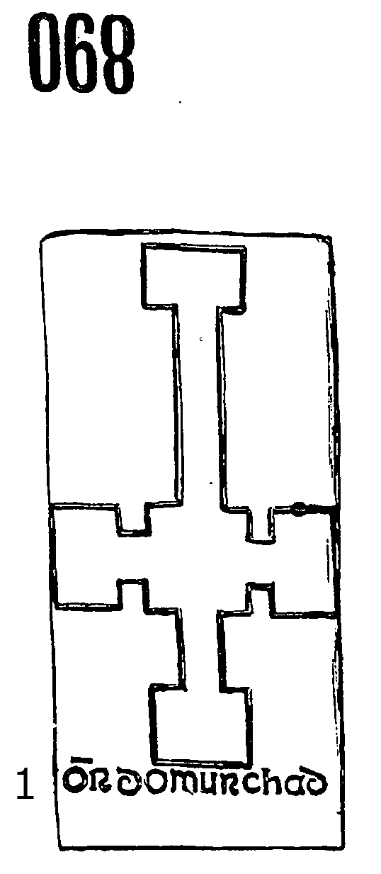 Iniscealtra Runestone 890 - Barony of Tulla Upper, County Clare, Ireland