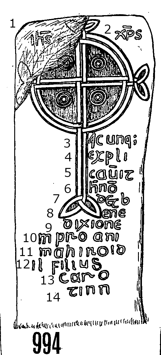 Llanwnnws Runestone 994  - County Carmarthen, Wales