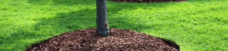 new mulch instalment in tree bed