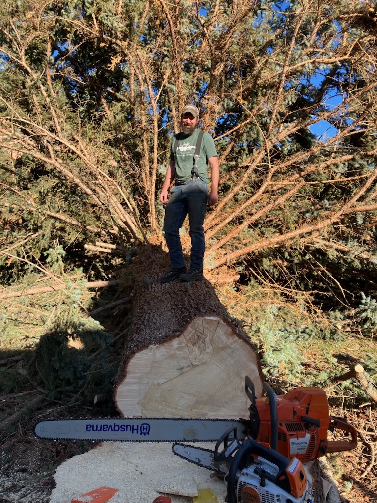 Scott standing on a felled tree.